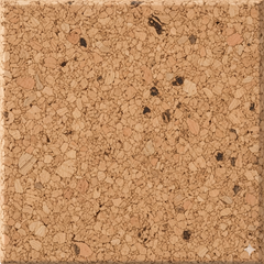 Cork Surface