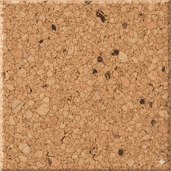 Cork Surface