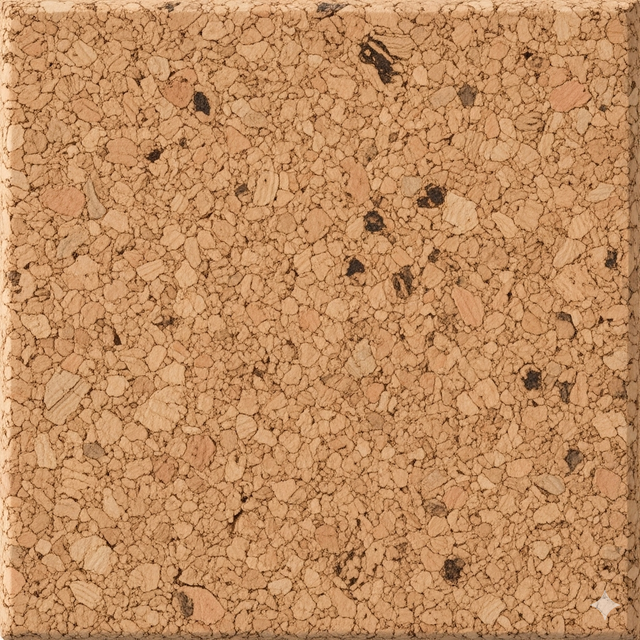 Cork Surface