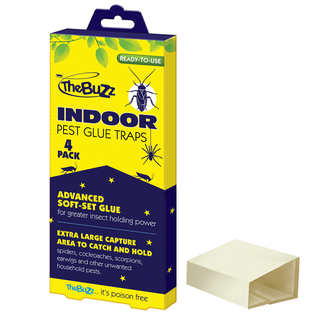 Packshot of The Buzz Indoor Pest Glue Traps 4 Pack