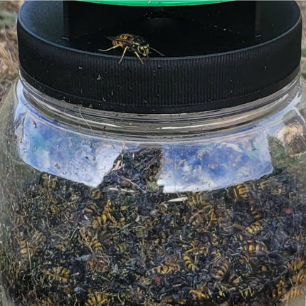 Envirosafe European Wasp Trap with Bait Sachet (Single) (4)