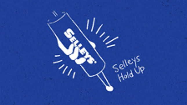 Selleys Hold Up Sticks Anything Multi Purpose Adhesive Sil-X Technology 290ml (2)